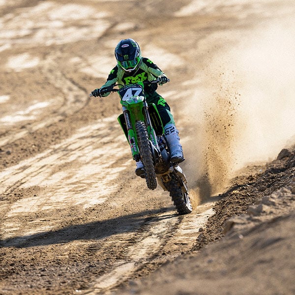 180 Raid Deep Fern Action Image