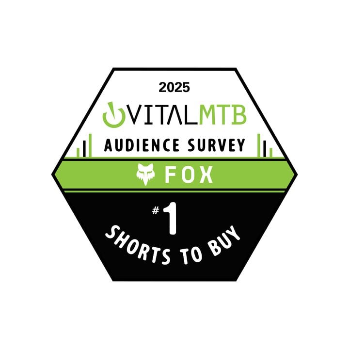 Vital mtb shorts to buy
