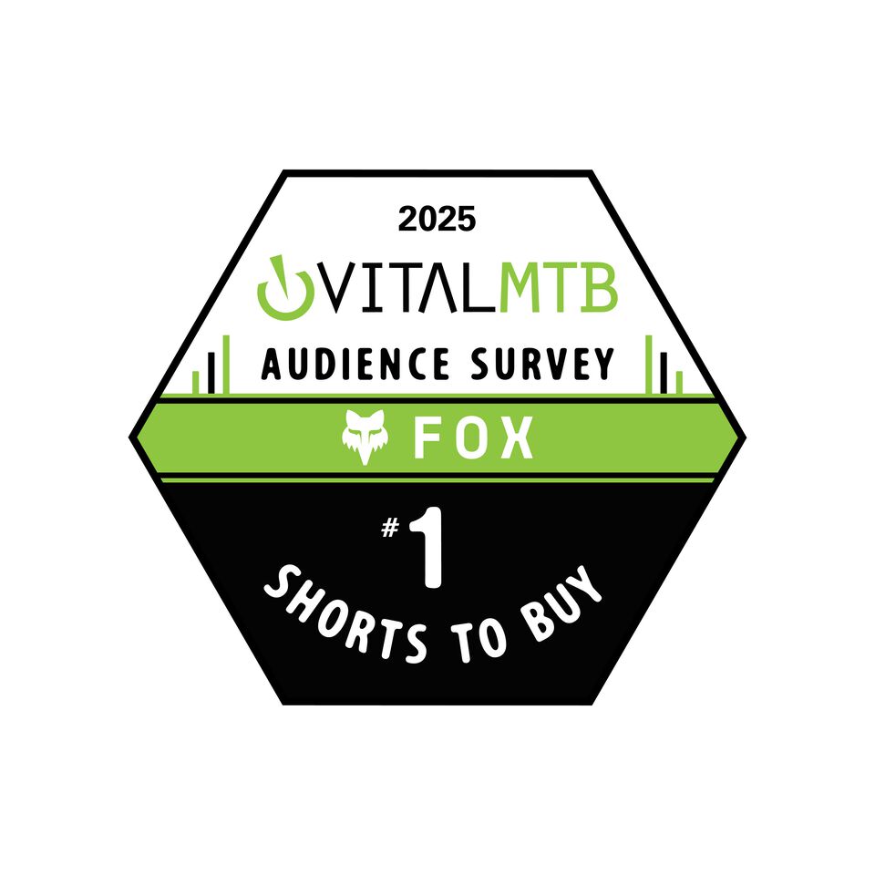 Vital mtb shorts to buy