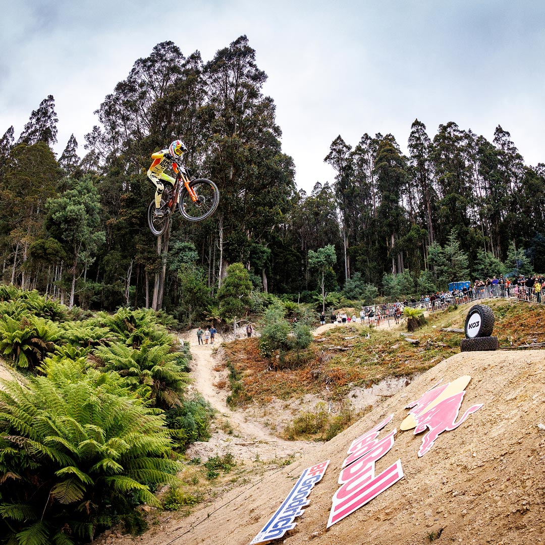 Elevated Future — Lemonade